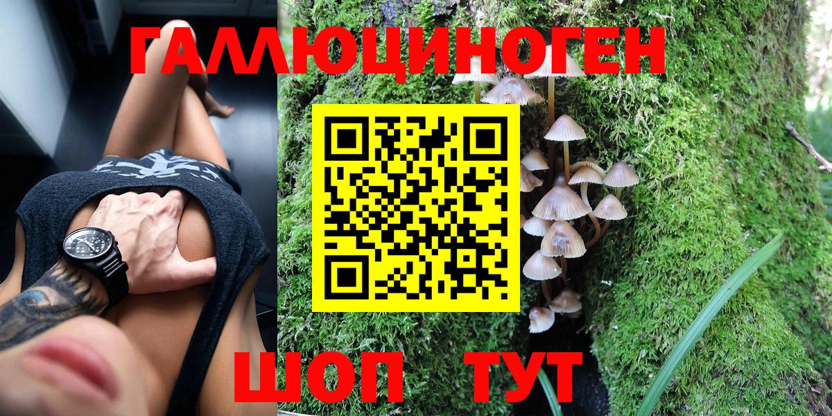 Острогожск  Псилоцибиновые грибы ЛСД  Вход с VPN 